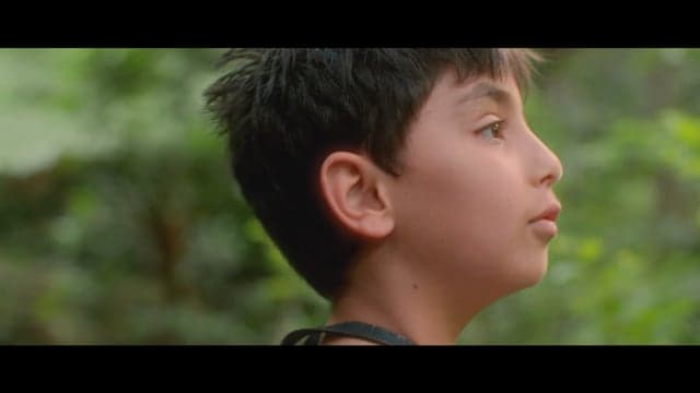 Unity Grammar case study